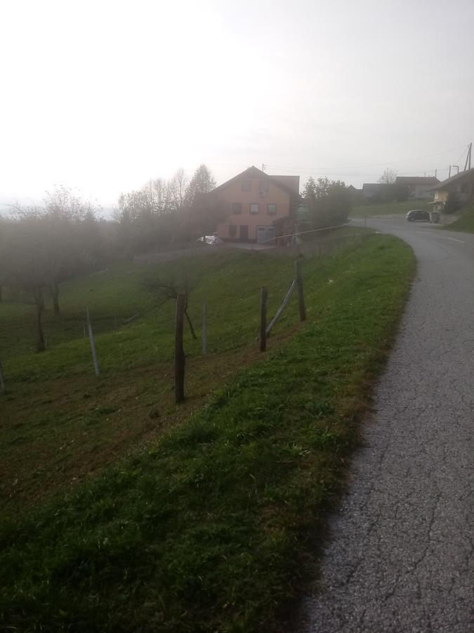 Bed&Breakfast Zilje Vinica Esterno foto
