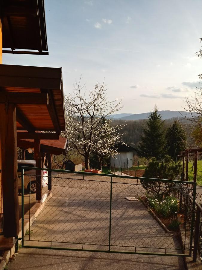 Bed&Breakfast Zilje Vinica Esterno foto